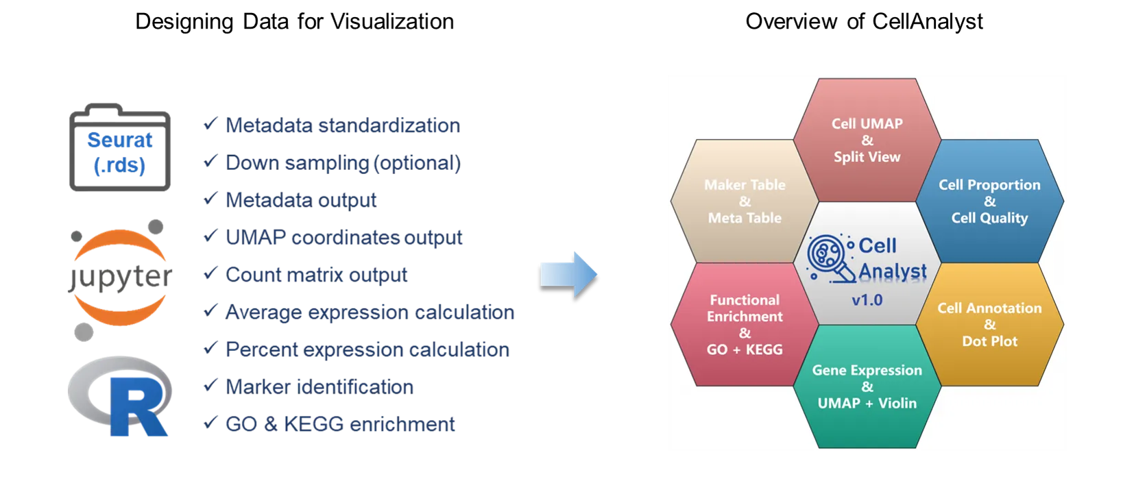 Framework of CellAnalyst