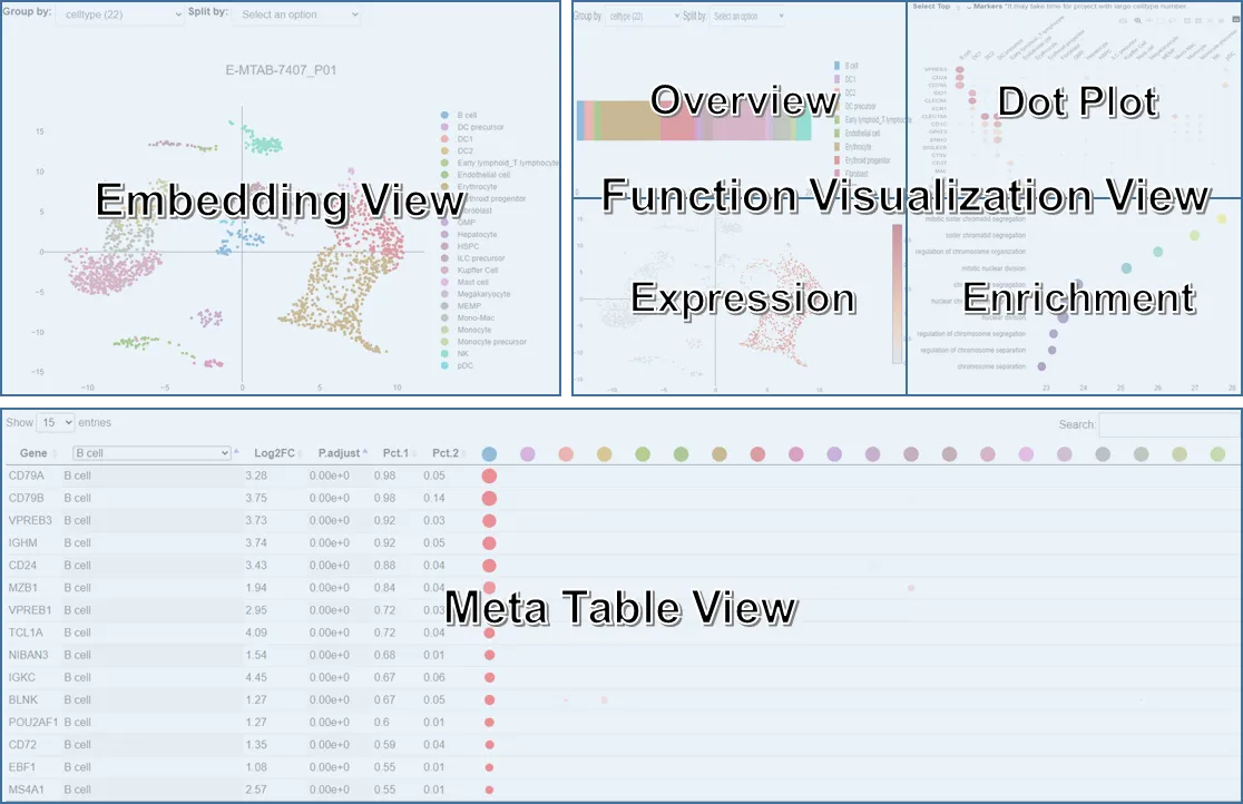 Main scope of CellAnalyst