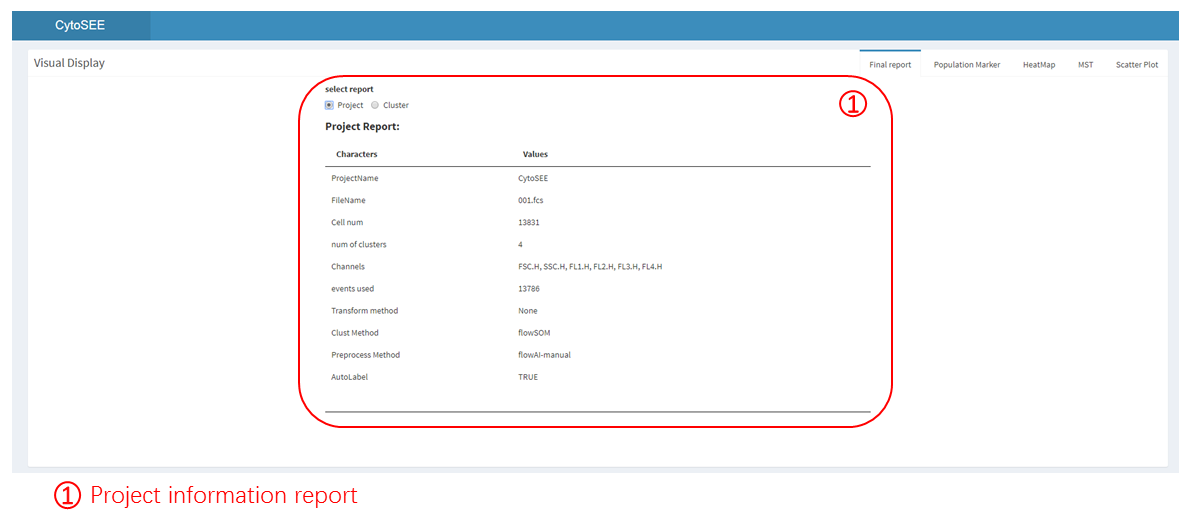 Project information report