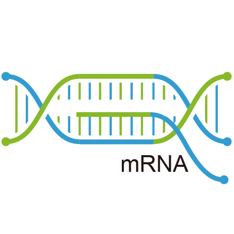 Phenome